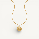 Shell Whisper Necklace